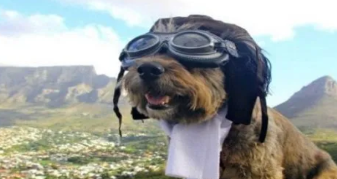 consejos para viajar
