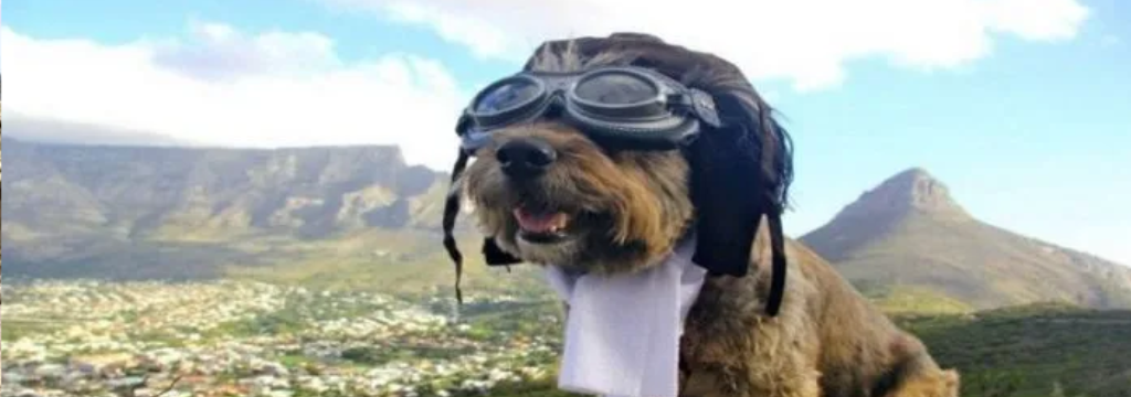 consejos para viajar