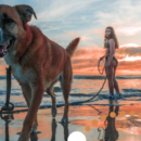Destinos de Playa y Sol