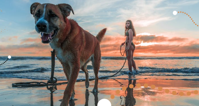 Destinos de Playa y Sol